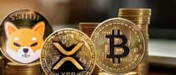 比特币9万美元生死战：SHIB暴涨200%在即 XRP暗藏4.3美元暴涨玄机