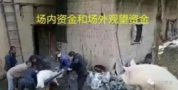 币圈黑幕全曝光：99%散户不知道的20个收割真相