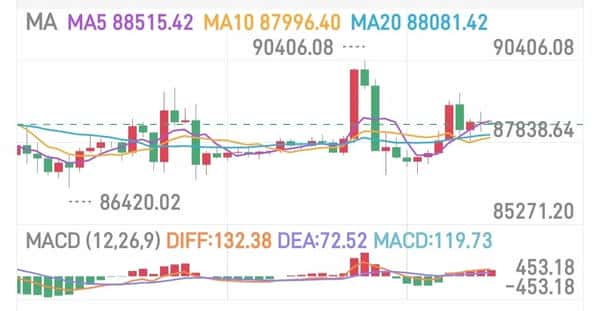 比特币87000美元关键争夺战：2026年牛市启动前最后的抄底机会？