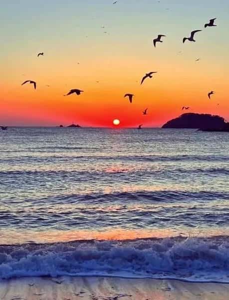 比特币暴跌40%！华尔街机构集体踩踏，新一轮加密寒冬已至？