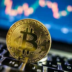 突发！美联储换帅引爆币圈巨震：6.5万亿蒸发，42万投资者爆仓，比特币单日暴跌40%