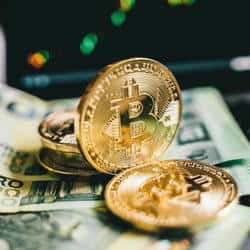 比特币暴跌67000美元！资金为何疯狂涌入A股红利资产？