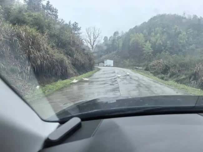 币圈血泪史：从10万到200万的5条反人性生存法则