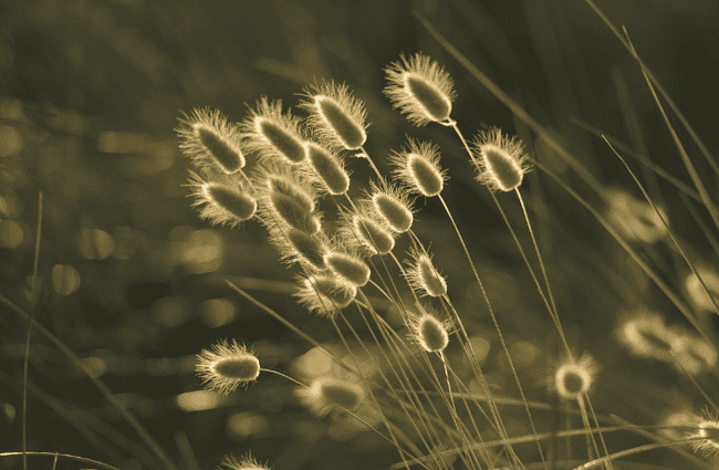 比特币暴力突破7.8万美元！W形态收官引爆新一轮牛市