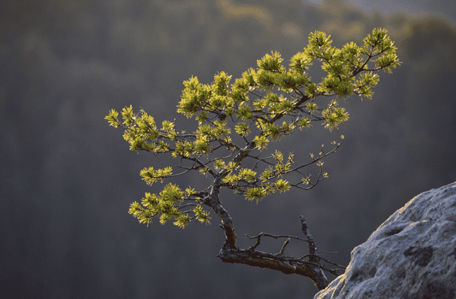 比特币高位震荡预警：关键支撑位争夺战打响，多空决战9.5万美元关口