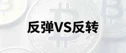 比特币75000美元关键位争夺战：牛市续命还是空头陷阱？  价格动态：比特币近期多次测试75000美元阻力位，4月14日单日涨幅达5.42%触及该关口，但至今未能有效站稳，衍生品市场显示空头仍占据主导