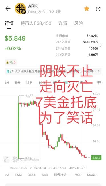 ARK代币暴雷警示：30万投资者血本无归，7800万美元资金盘崩盘内幕全揭露