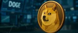 一百美金的DOGECOIN你敢想吗？