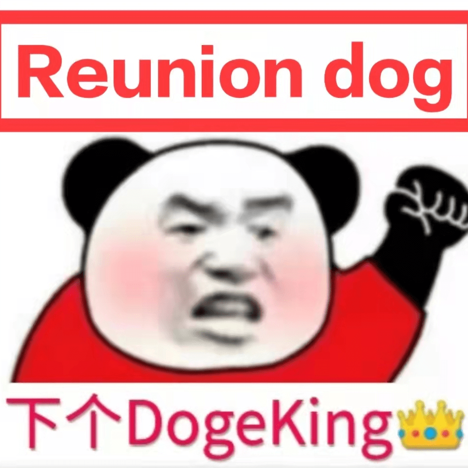 土狗币ReunionDog暴富密码：5年锁池+全滑点分红，100U搏百万机会？