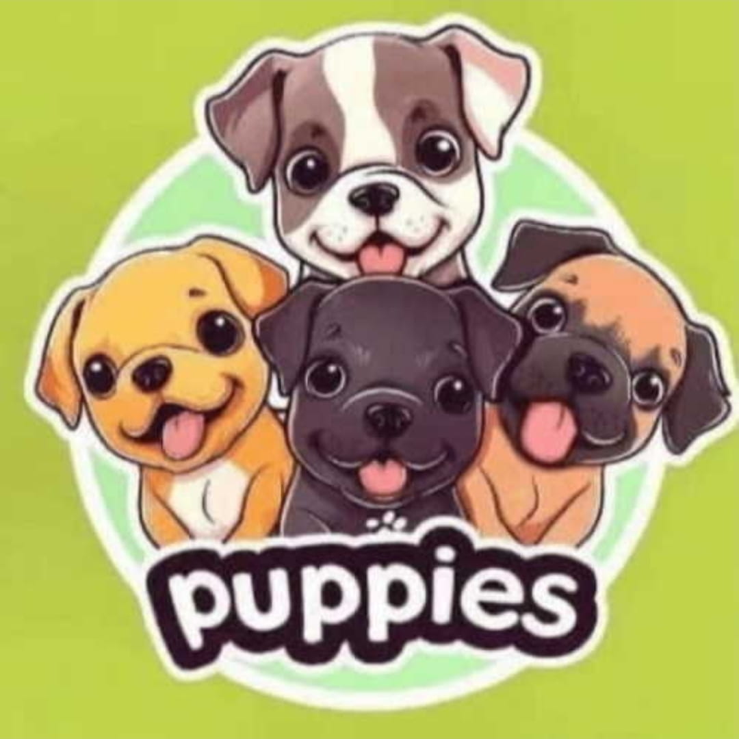 贝莱德3亿美元强势入场比特币 机构资金引爆加密市场新叙事