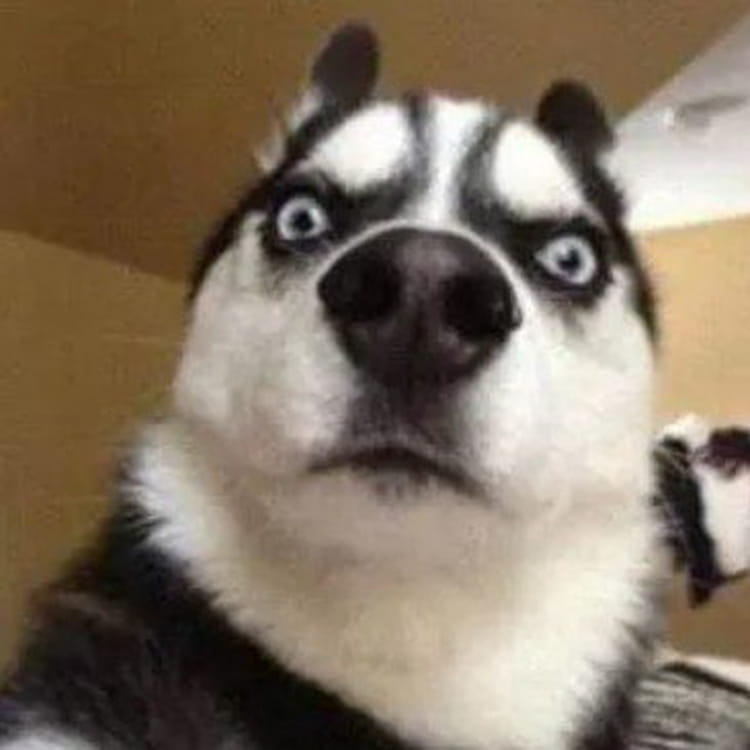 流动性螺旋席卷全球市场 跨资产风险传导下的暴利布局定律