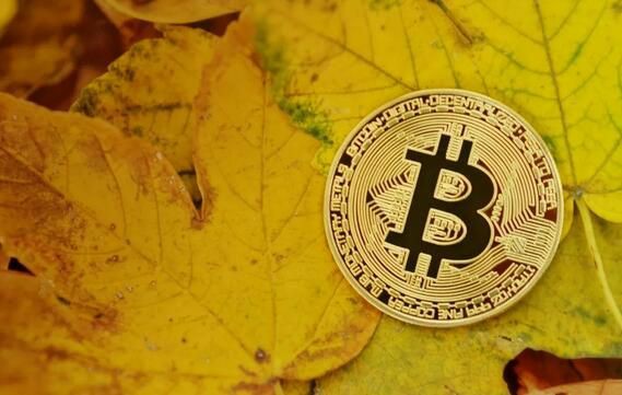 币圈新手必读:10条赚钱秘诀助你稳步盈利