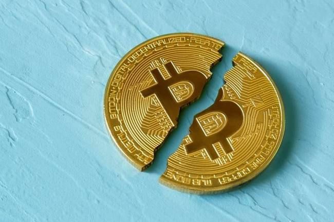 比特币家族传奇:从倾家荡产到财富翻番,信仰的力量