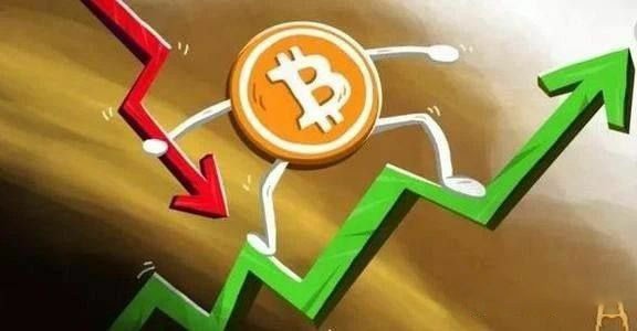 机构与散户:信息优势与决策差异解析