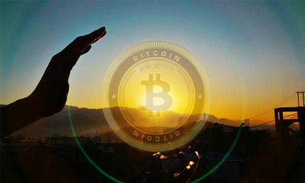 揭秘NEIRO鲸鱼:操控市场软肋,教你如何避免亏钱