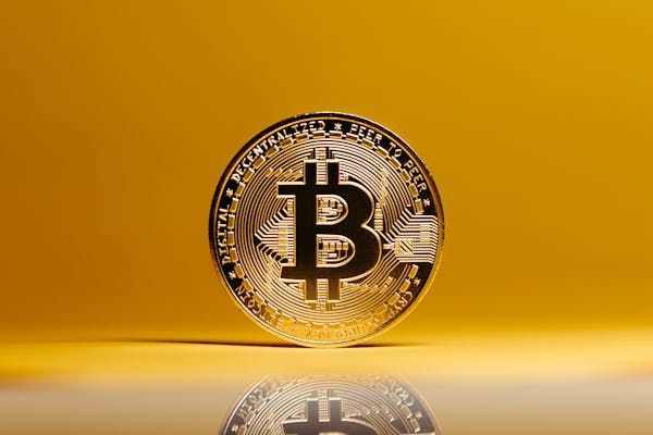 Sol链土狗投资：高收益与高风险并存，未来潜力可期