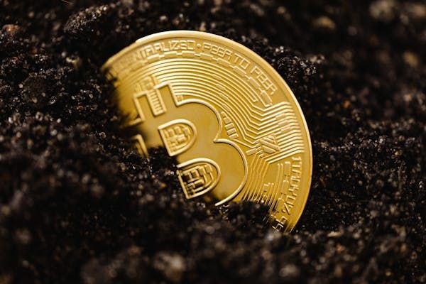 牛市投资策略与潜力币选择要点