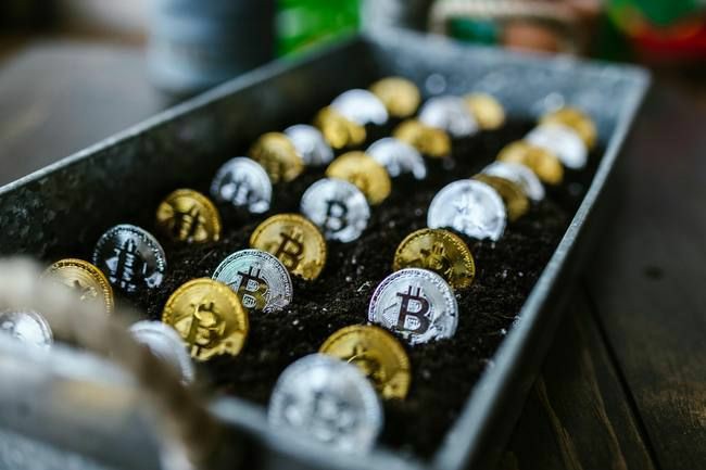 超级金狗现象：币圈牛市中的暴富机会