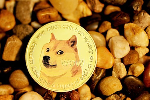 SHIB暴跌后现积极信号,生态系统现复苏迹象