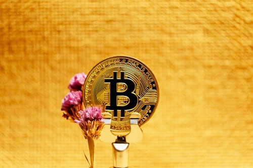 炒币经验法则：谨慎前行，智慧致富