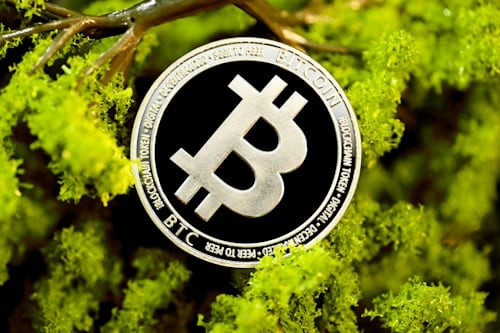 特朗普上台在即，这5款加密货币或迎暴涨机遇