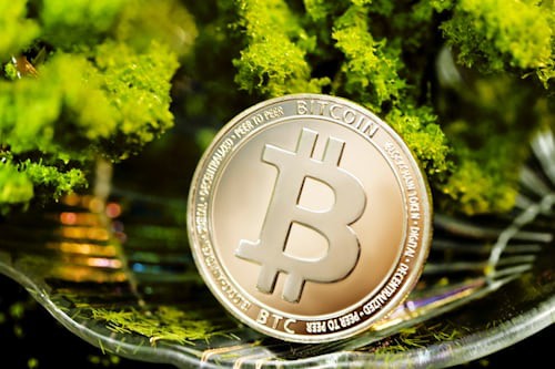 黄金分割线实战应用：精准预测价格趋势与支撑压力区