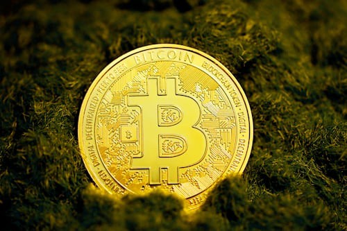 山寨币回高点的可能性与解套策略分析