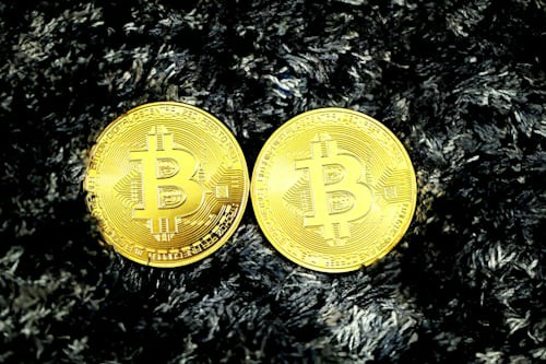 SHIB或迎爆发性增长？网络主管预测两三天内涨千倍