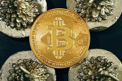 比特币冲刺8万,佩佩币、狗帽币、青蛙币有望百倍暴涨