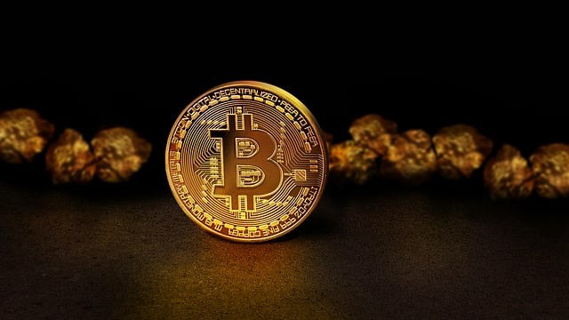 大零币(ZEC)崛起:币圈院士2024年行情分析