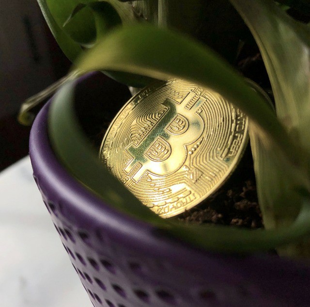 散户投资宝典:六招实现从20万到200万的财富跃迁