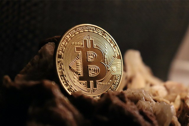 加密货币市场复苏：比特币与狗狗币前景光明，柴犬币有望大幅上涨