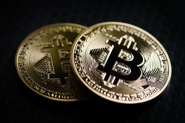 2024年加密市场新星:Pepecoin、狗帽币和青蛙币爆发在即