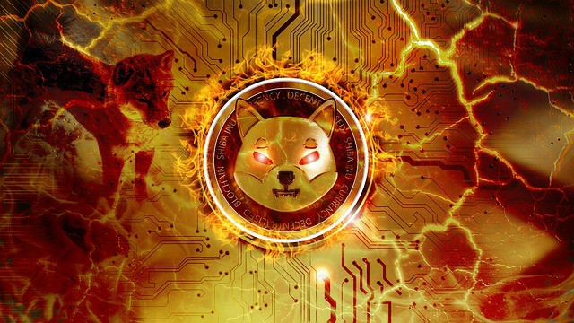 四款热门土狗币推荐:RJV、WORM、GENOME、VITA
