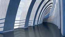 什么样的人更易在交易中取得成功
