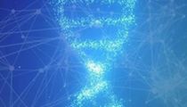 2024年四季度六大潜力币种展望：FET、PEOPLE、SATS、PEPE、Neiro、SAGA