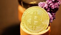 币海淘金：揭秘高胜率交易的“秘密武器”与避坑指南