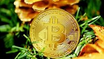 潜龙战法：技术分析与市场趋势判断指南