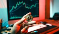 币圈半年回顾：从百倍币幻想到坚守$dog的稳健策略