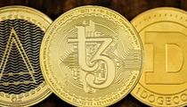 SUI与APT：山寨币中的强劲涨幅能否持续？