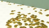币圈新手避坑指南：识别僵尸币与增发币的5大特征