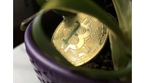 散户投资宝典：六招实现从20万到200万的财富跃迁