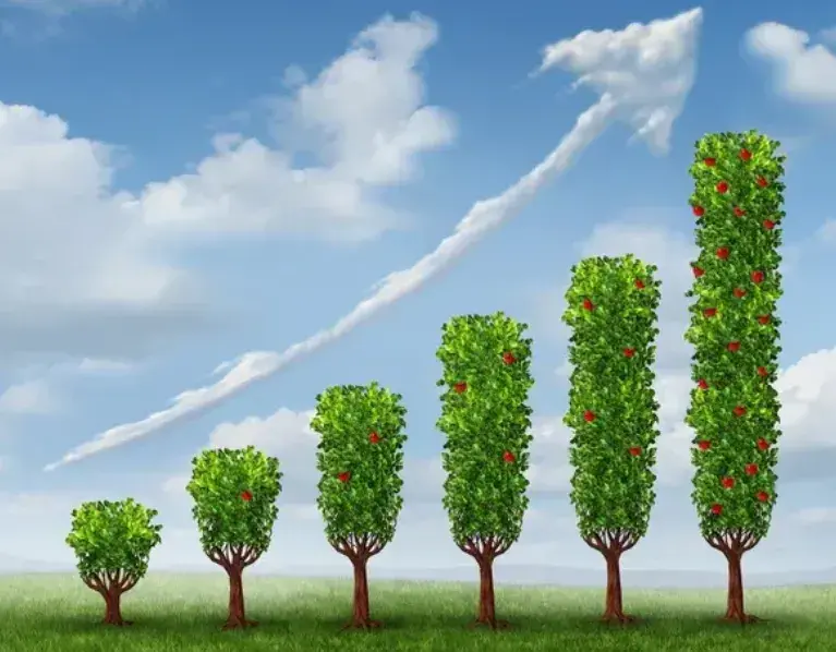 加密KOL在X平台全攻略：资料优化与上榜秘籍！